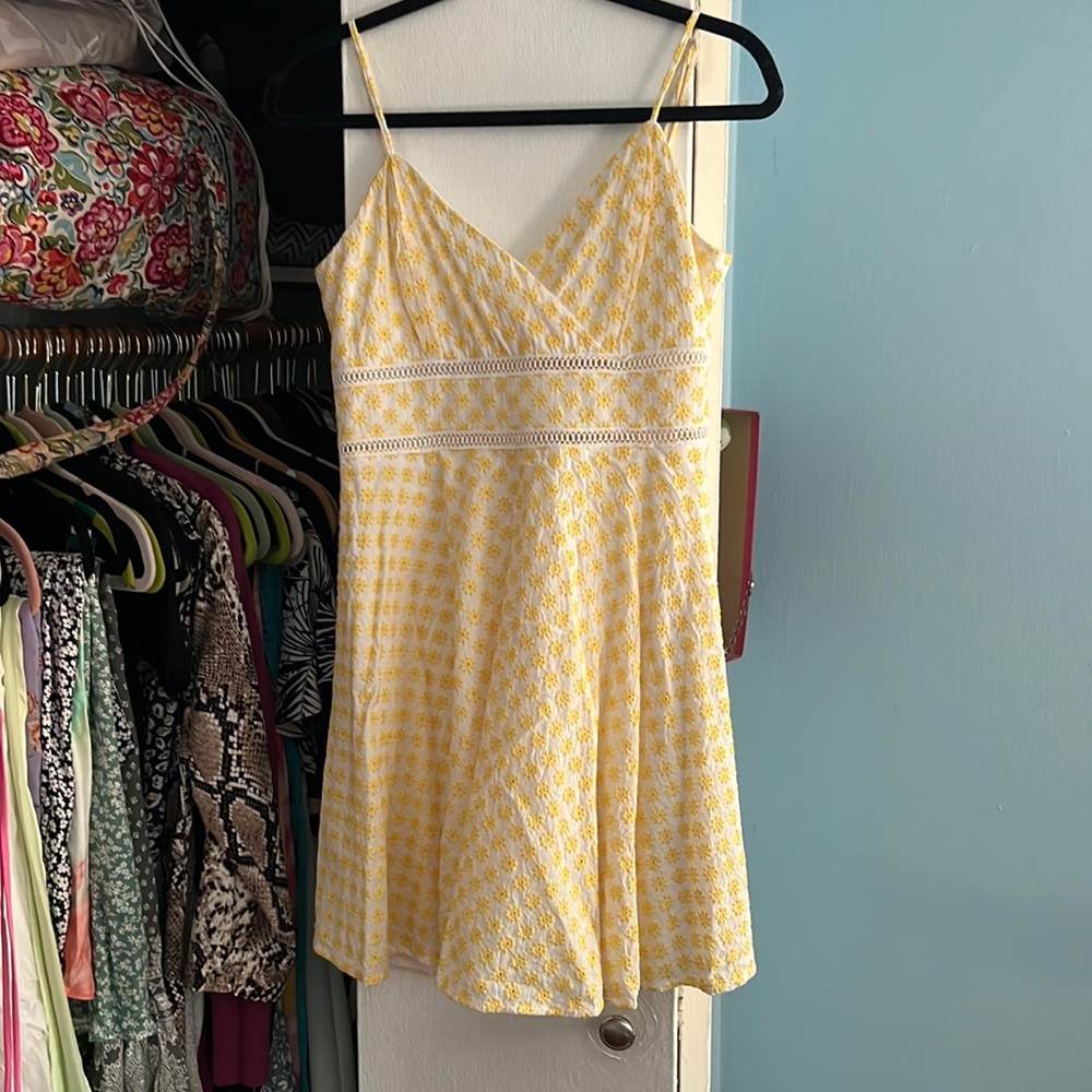 Francesca’s Dress
